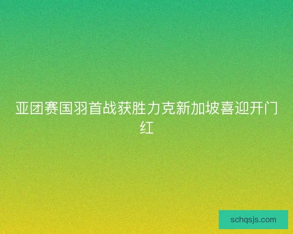 亚团赛国羽首战获胜力克新加坡喜迎开门红